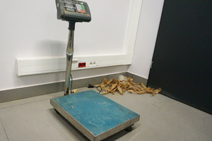 Zabezpieczona elektroniczna waga towarowa