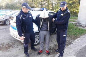 Zatrzymany wandal