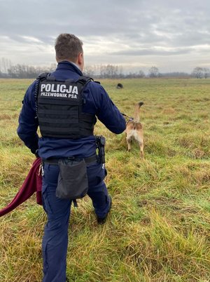 Zdj. KMP Sosnowiec. Na zdjęciu widoczny policjant w kamizelce z napisem: Przewodnik psa służbowego, wraz z psem podczas tropienia. Policjant trzyma w ręku bordowy sweter należący do zaginionej.