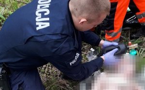 Na kolorowym zdjęciu widoczny umundurowany policjant udzielający pomocy leżącemu na ziemi mężczyźnie.