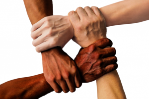 Na zdjęciu widoczne cztery dłonie o różnym odcieniu koloru skóry. Zdjęcie pochodzi ze strony: https://bip.brpo.gov.pl/pl