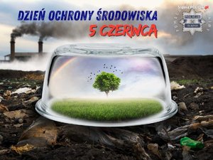 Zdjęcie przedstawiające klosz pod którym widniej zielone drzewo i trawa, w oddali fabryka, z której kominów wydobywa się czarny dym.