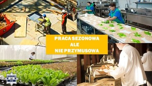 Kolaż zdjęć oraz napis: Praca sezonowa, ale nie przymusowa.