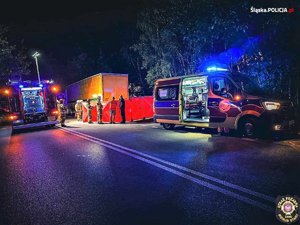 Zdjęcie kolorowe przedstawiające wypadek drogowy oraz parawan straży pożarnej.