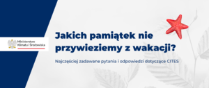 Jakich pamiątek nie przywieziemy z wakacji?