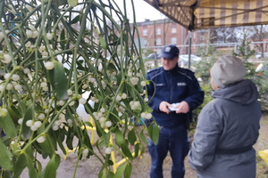 Na zdjęciu widoczny policjant, który kontroluje stoisko z drzewkami. Policjant rozmawia z kobietą.