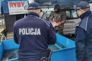 Na zdjęciu widoczni policjanci, którzy kontrolują stoisko z karpiami.