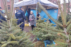 Na zdjęciu widoczni policjanci, którzy kontrolują stoisko z drzewkami. Policjanci rozmawiają ze sprzedawczynią.