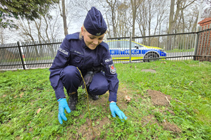 Na zdjęciu widoczna policjantka, która sadzi drzewko.