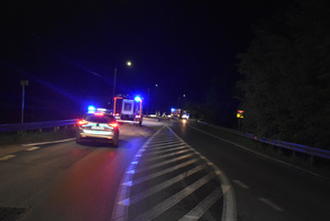 Na zdjęciu widoczny radiowóz i wóz strażacki, stojące na jezdni.