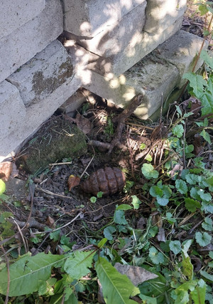Na zdjęciu widoczny granat.