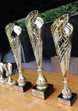 Na zdjęciu widoczne puchary.