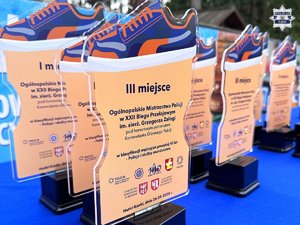 Na zdjęciu statuetki dla zwycięzców.