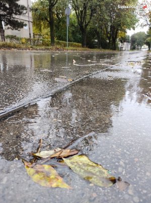 Na zdjęciu widoczna mokra ulica, na której leżą liście.