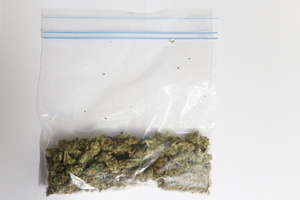 Na zdjęciu widoczny susz roślinny w strunowym woreczku foliowym.