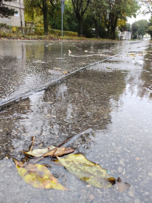 Na zdjęciu widoczna mokra jezdnia oraz leżący na niej liść.