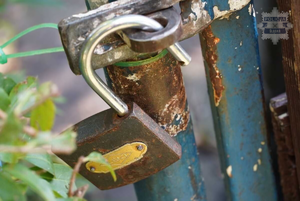 Na zdjęciu widoczna niezamknięta kłódka w furtce.