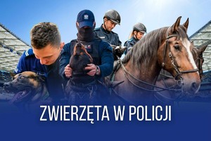 Na zdjęciu widoczni policjanci oraz konie i psy policyjne, a także napis: Zwierzęta w Policji.