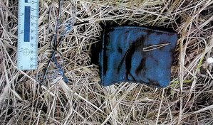 Na zdjęciu widoczny czarny portfel oraz okulary.