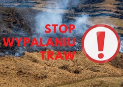Stop wypalaniu traw!