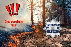 Stop wypalaniu traw!