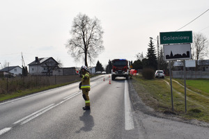 Na zdjęciu widoczny strażak kierujący ruchem. Po prawej stronie tabliczka z nazwą miejscowości - Goleniowy.