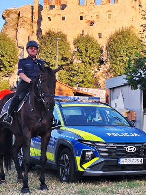 Policjant na koniu. Obok zaparkowany radiowóz.