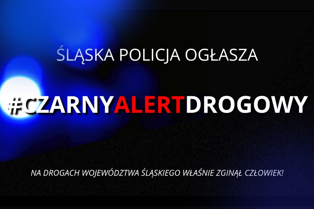 Śmiertelny wypadek na drodze między Włodowicami a Rzędkowicami